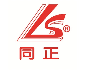 同正